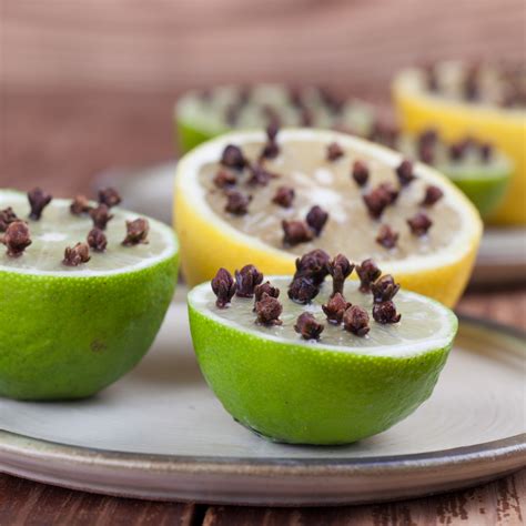 how to prevent mosquito at home