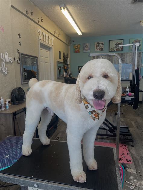 Stylish Pets By Lacie | Hanford CA