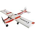 Amazon Viloga EPP Foam RC Plane Kit 960mm Wingspan RC Model