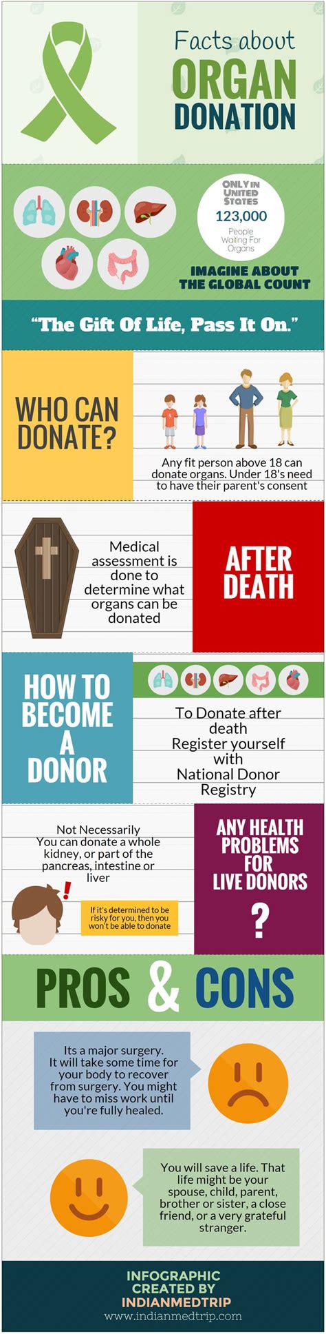 Interesting Facts About Organ Donation Infographics With Images