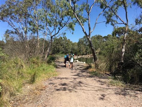 Newport Lakes Reserve Newport Eco Explorers