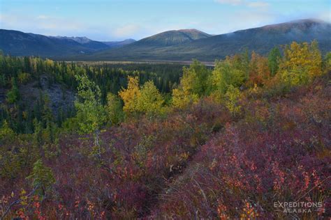 Gates of the Arctic National Park photos | Images Gates of Arctic Alaska