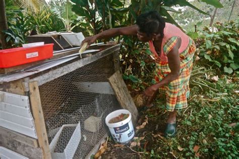 Top 10 Martinican Dishes You Just Have To Try