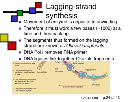 Ppt Dna Replication Powerpoint Presentation Id327428