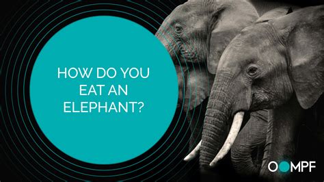 How Do You Eat An Elephant Oompf Global Amanda C Watts