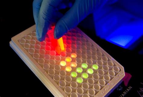 Scientists To Use Firefly Bioluminescence To Create Energy-Free Lighting