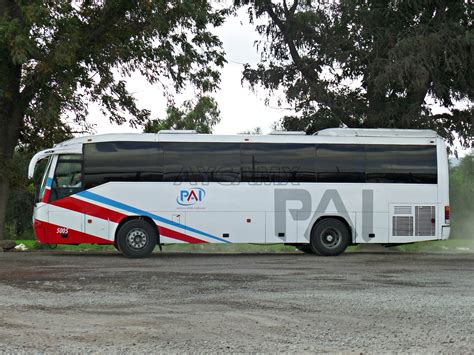 Aycamx Autobuses Y Camiones M Xico Autobuses For Neos