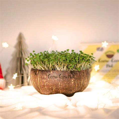 Marke Grow Grow Nut Microgreen Shop