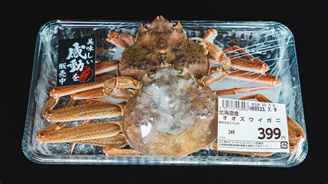 北海道で大量発生しているオオズワイガニを食べる デイリーポータルz