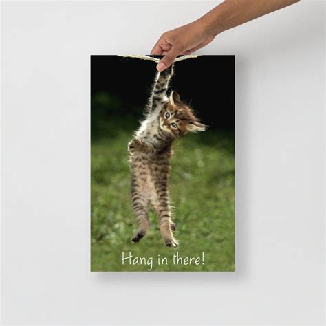 Hang In There Poster Cat Dfv Roaring Kitty Keith Gill Etsy