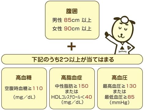 メタボリックシンドロームの検査