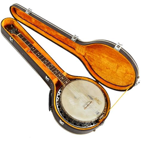 Fender 5 String Banjo With Case Ebth