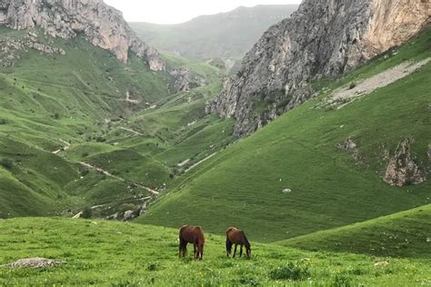 12 Wild Animals In Armenia Wildlife In Armenia Kevmrc