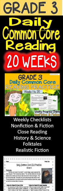 Literacy And Math Ideas 20 Weeks Grade 3 Daily Common Core Reading