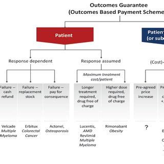 PDF THE IMPACT OF REIMBURSEMENT POLICIES AND PRACTICES ON HEALTHCARE