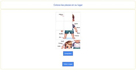 Github Axelcotongutierrez Puzzle Partes B Sicas Cuerpo Humano Puzzle