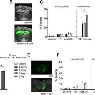 Pde D Knockdown Kd In Hc And Rsc Enhances Contextual Memory Mrna