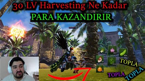 Rise Online 5 Saat 30 Lv Harvesting Toplayıcılık Oyun KAPTANI