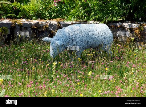 Wire Sculpture Of Pig By Gwen Wilkenson In Show Garden By Barry