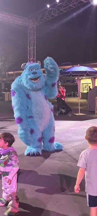 Renne Dancing With Sulley From Monster S Inc At Disney World Youtube