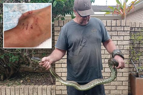 Record Setting Python Caught By Florida Trapper In Everglades