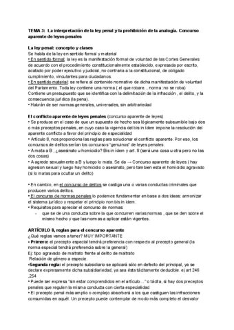 Tema 3 Derecho Penal I La Interpretacion De La Ley Penal Y La