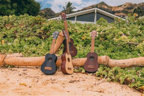 The 6 best ukulele brands in 2024 (and those to avoid)