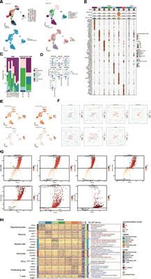 Frontiers Single Cell Sequencing Revealed The Mechanism Of CRYAB In