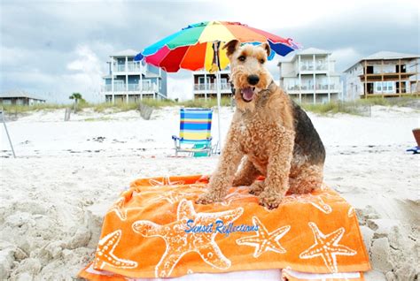 Floridas Best Kept Secret Cape San Blas