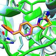 Superimposition Of The Docked Green And Magenta For Receptor And