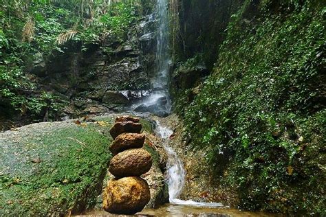 Tijuca Forest Hiking Tour Including Waterfalls: Triphobo