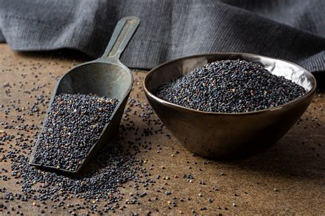 Can Eating Poppy Seeds Affect Drug Test Results An Addiction And Pain