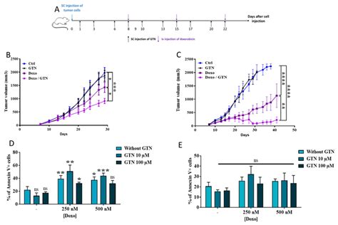 Anti Tumor Effect Of Doxorubicin Gtn Combination In Two Breast Cancer