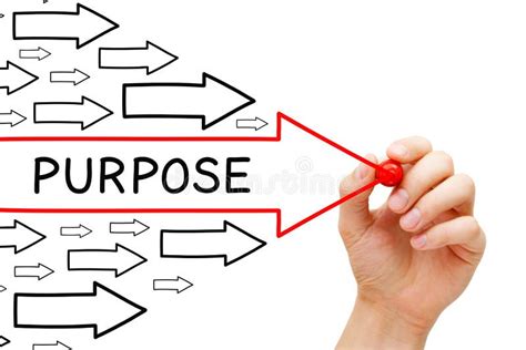 purpose stock illustrations  purpose stock illustrations