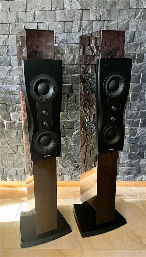 Dynaudio Confidence C Platinum Ustka Kup Teraz Na Allegro Lokalnie