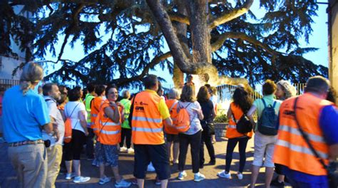 Piedibus A Perugia Con Il Sindaco Andrea Romizi Foto Gallery