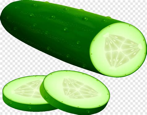 Cucumber Free Icon Library