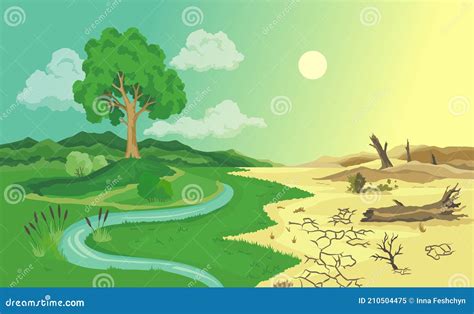 Desertification Infographic