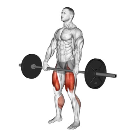 Barbell Stiff Leg Deadlift Exercise Guide Tips And Benefits In 2024