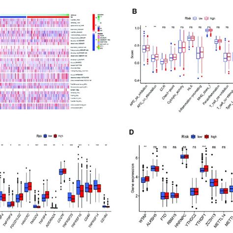 Immunoassay And M6a Analysis A Immune Cell Infiltration