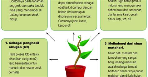 Pembelajaran 4 Tumbuhan Sumber Kehidupan