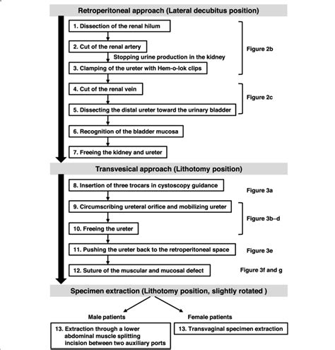 diagram   surgical procedure  scientific diagram