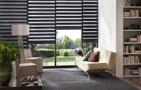 Taiyuhomes Day And Night Zebra Roller Blind Double Fabric Translucent