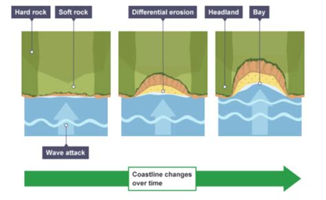 Coastal Landforms Flashcards Quizlet