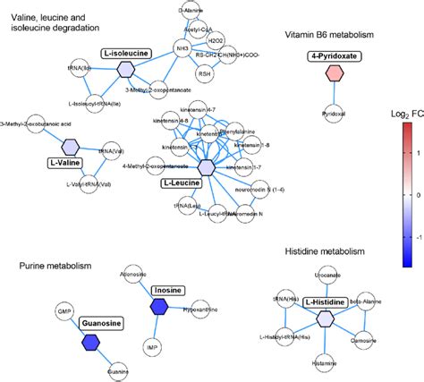 Dysregulated Metabolic Pathways Related To Ad Pathology Hexagonal