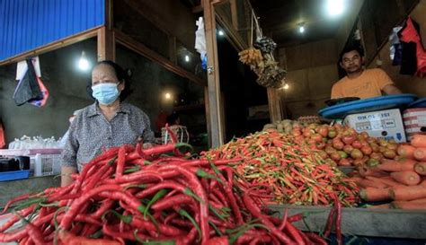 Masuk Masa Panen Harga Cabai Dan Bawang Terus Turun