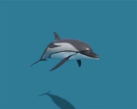 Artstation Dolphins