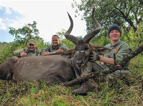 Mountain Nyala Mount | AfricaHunting.com