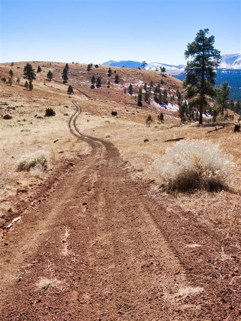 Ruta Forestal En San Francisco Alcanza Su Punto Máximo En El Campo