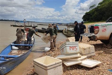 Semas Apreende Mais De Toneladas De Pescado No Per Odo De Defeso No